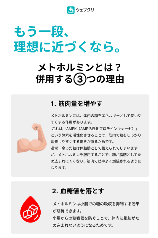 【過剰なカロリー摂取を抑える】メトホルミン